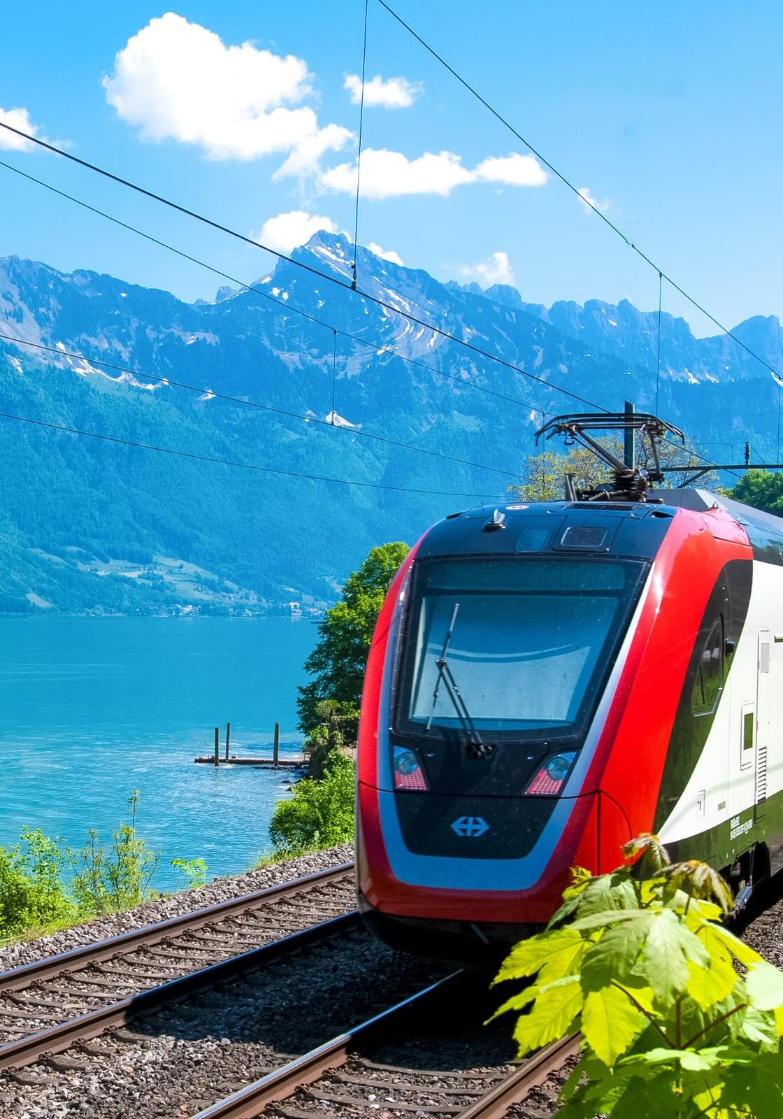 6dc504934aab7876c37c4874454f6187